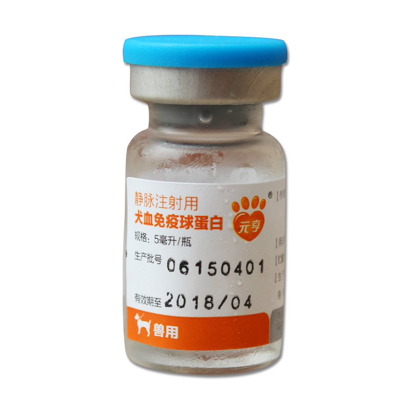 Intravenous Canine Immunoglobulin