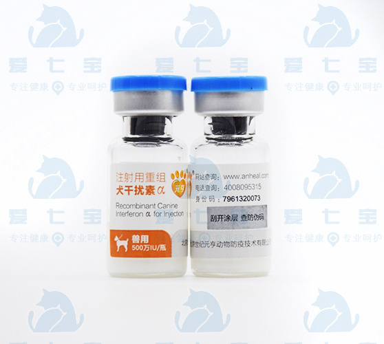 Recombinant Canine Interferon α for Injection